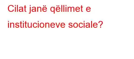 Cilat janë qëllimet e institucioneve sociale?