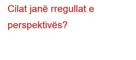 Cilat janë rregullat e perspektivës?