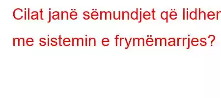 Cilat janë sëmundjet që lidhen me sistemin e frymëmarrjes?