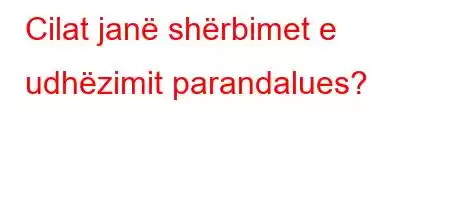 Cilat janë shërbimet e udhëzimit parandalues