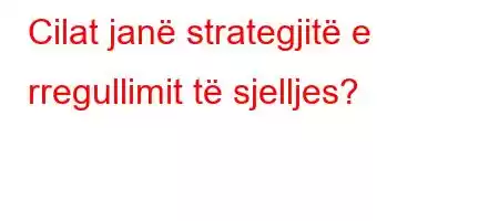 Cilat janë strategjitë e rregullimit të sjelljes?