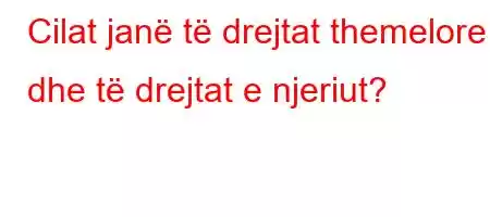 Cilat janë të drejtat themelore dhe të drejtat e njeriut