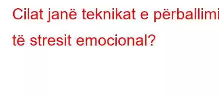 Cilat janë teknikat e përballimit të stresit emocional?