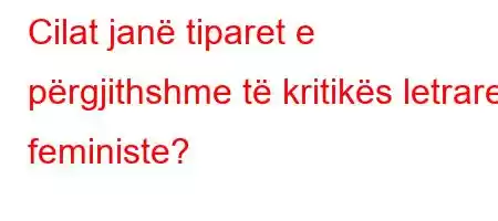 Cilat janë tiparet e përgjithshme të kritikës letrare feministe?