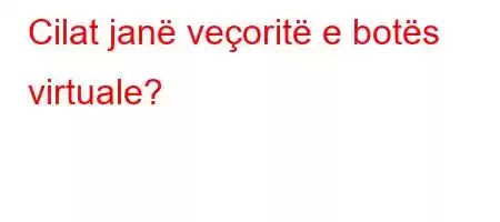 Cilat janë veçoritë e botës virtuale?