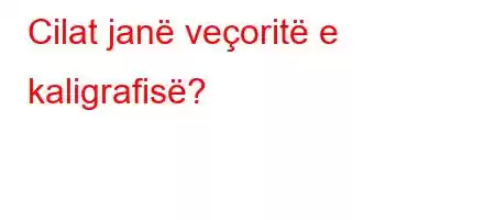 Cilat janë veçoritë e kaligrafisë?