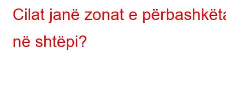 Cilat janë zonat e përbashkëta në shtëpi?