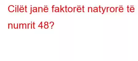 Cilët janë faktorët natyrorë të numrit 48?