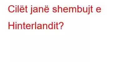 Cilët janë shembujt e Hinterlandit?