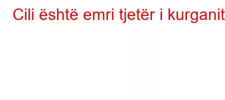 Cili është emri tjetër i kurganit?