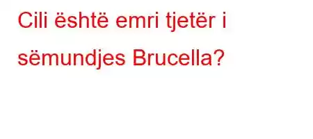 Cili është emri tjetër i sëmundjes Brucella