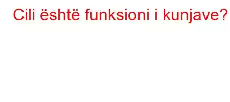 Cili është funksioni i kunjave