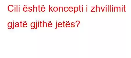 Cili është koncepti i zhvillimit gjatë gjithë jetës