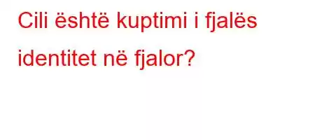 Cili është kuptimi i fjalës identitet në fjalor?