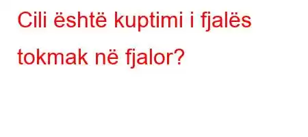 Cili është kuptimi i fjalës tokmak në fjalor?