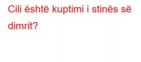 Cili është kuptimi i stinës së dimrit