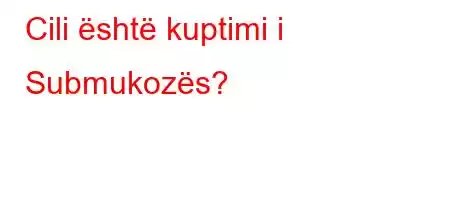 Cili është kuptimi i Submukozës?