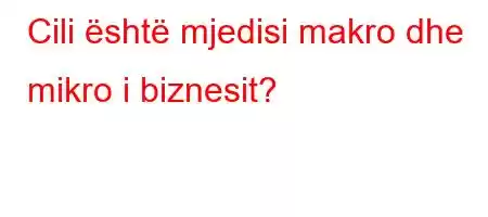 Cili është mjedisi makro dhe mikro i biznesit