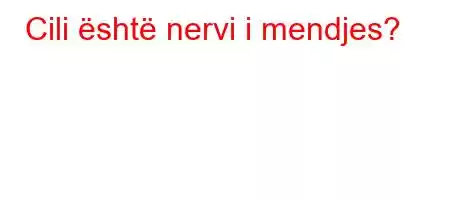 Cili është nervi i mendjes?