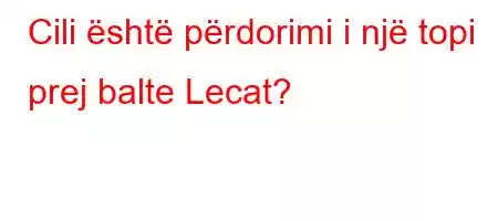 Cili është përdorimi i një topi prej balte Lecat?