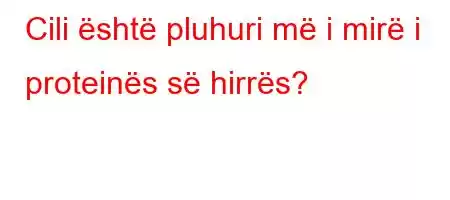 Cili është pluhuri më i mirë i proteinës së hirrës?