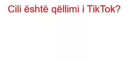 Cili është qëllimi i TikTok?