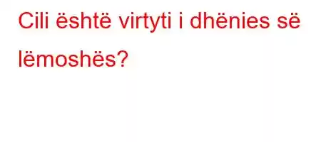 Cili është virtyti i dhënies së lëmoshës?