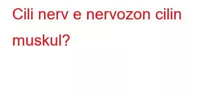 Cili nerv e nervozon cilin muskul?