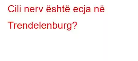 Cili nerv është ecja në Trendelenburg?