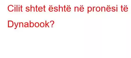 Cilit shtet është në pronësi të Dynabook?