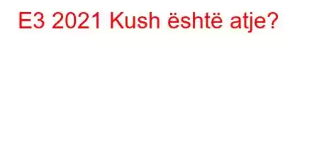 E3 2021 Kush është atje?