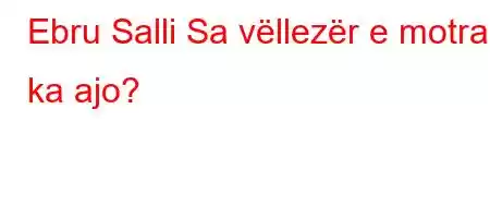 Ebru Salli Sa vëllezër e motra ka ajo?