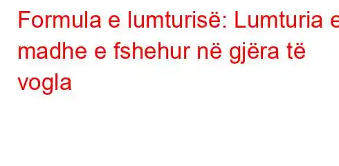 Formula e lumturisë: Lumturia e madhe e fshehur në gjëra të vogla