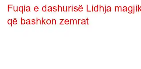 Fuqia e dashurisë Lidhja magjike që bashkon zemrat