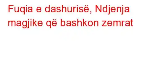 Fuqia e dashurisë, Ndjenja magjike që bashkon zemrat