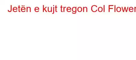 Jetën e kujt tregon Col Flower?