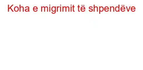 Koha e migrimit të shpendëve