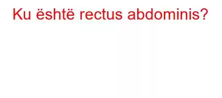 Ku është rectus abdominis?