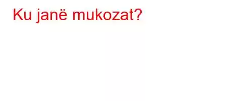 Ku janë mukozat?