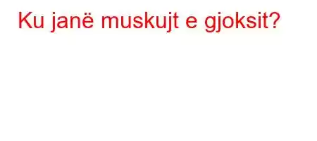 Ku janë muskujt e gjoksit