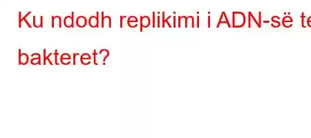 Ku ndodh replikimi i ADN-së te bakteret?