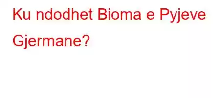 Ku ndodhet Bioma e Pyjeve Gjermane?