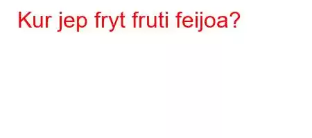 Kur jep fryt fruti feijoa?