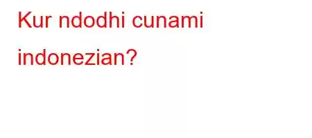 Kur ndodhi cunami indonezian?