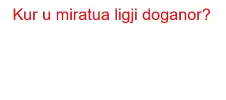 Kur u miratua ligji doganor?