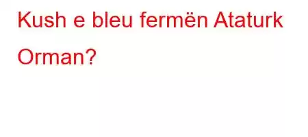 Kush e bleu fermën Ataturk Orman?