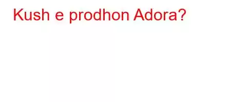 Kush e prodhon Adora