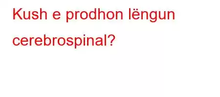 Kush e prodhon lëngun cerebrospinal?