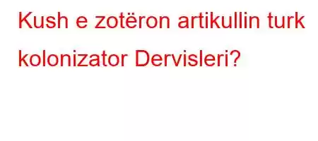 Kush e zotëron artikullin turk kolonizator Dervisleri?