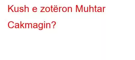 Kush e zotëron Muhtar Cakmagin?